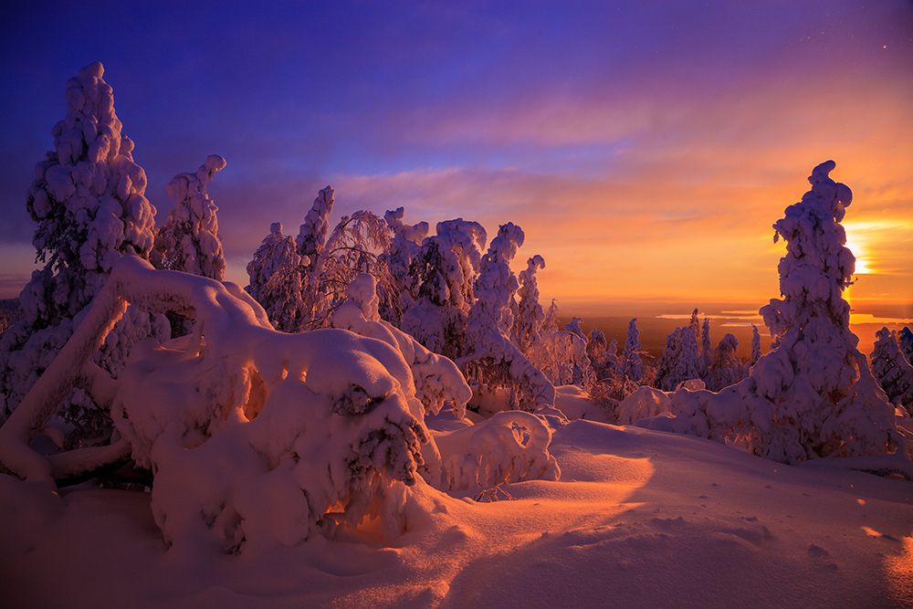 Зимним днем