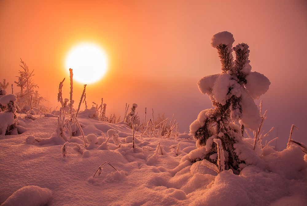 Морозным днем