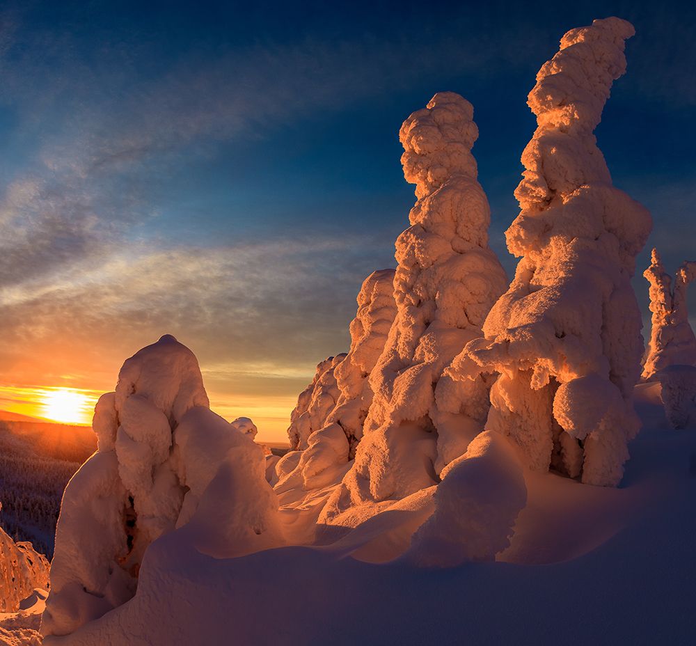 Стражи зимы