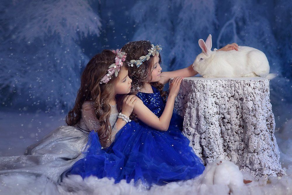 Однажды в сказке