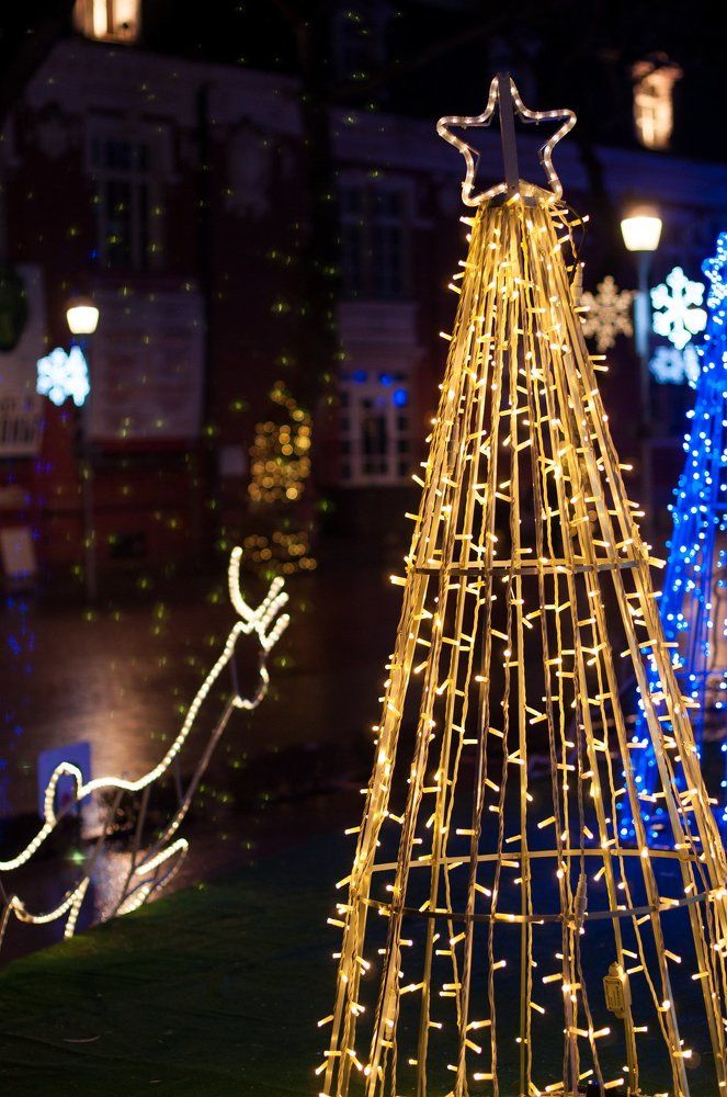 Фотография автора  Виктория