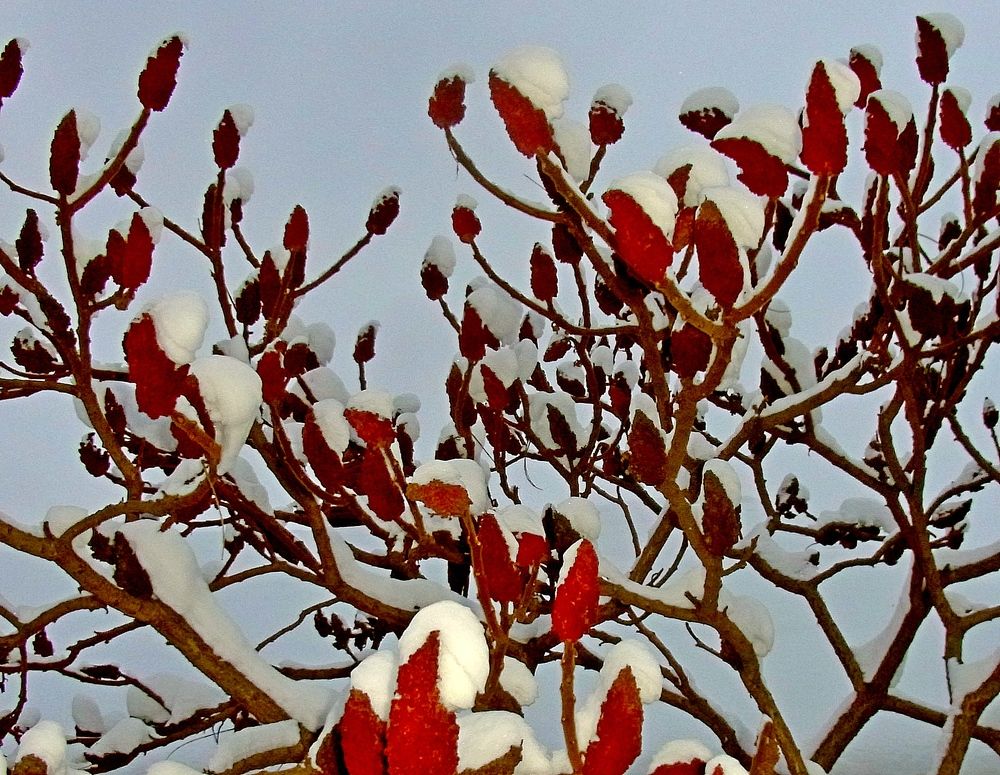 Photograph by леонид натапов