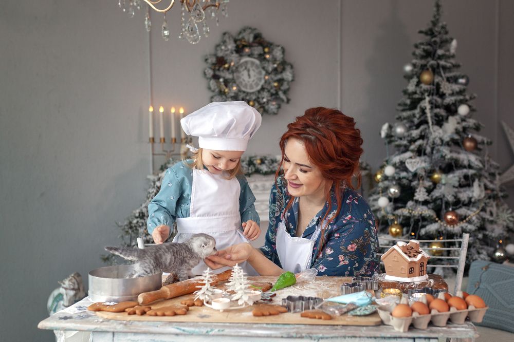Хозяюшки в Рождество