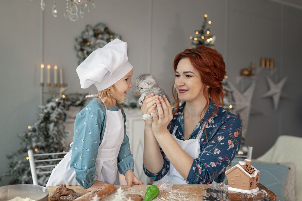 Хозяюшки в Рождество