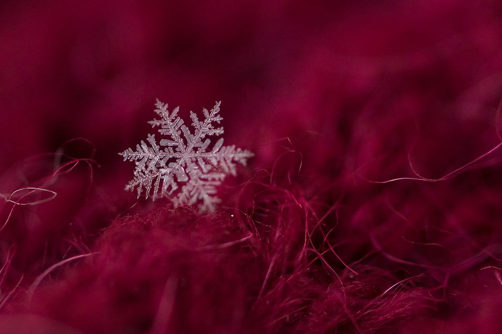 зимнее и теплое