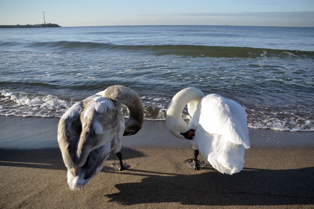 Photograph by Galina Baranovskaja