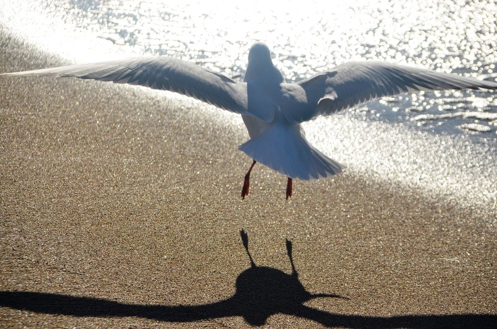 Photograph by Galina Baranovskaja