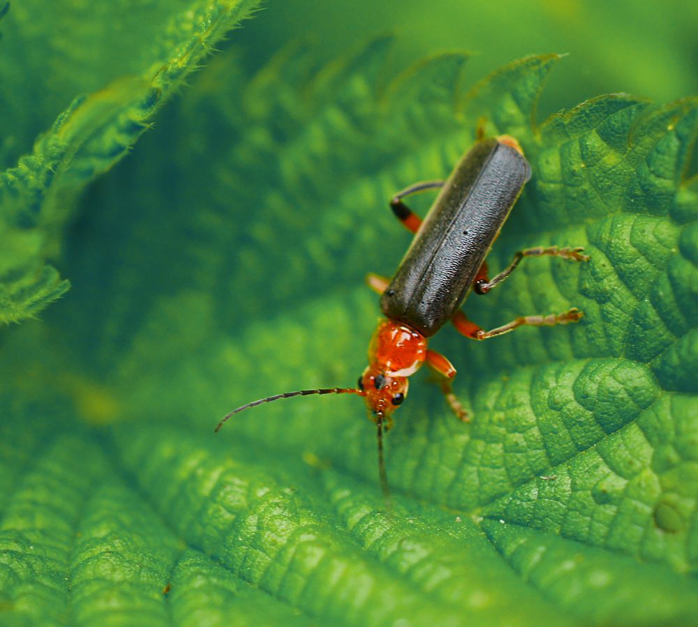 Photograph by Мария Загоревская