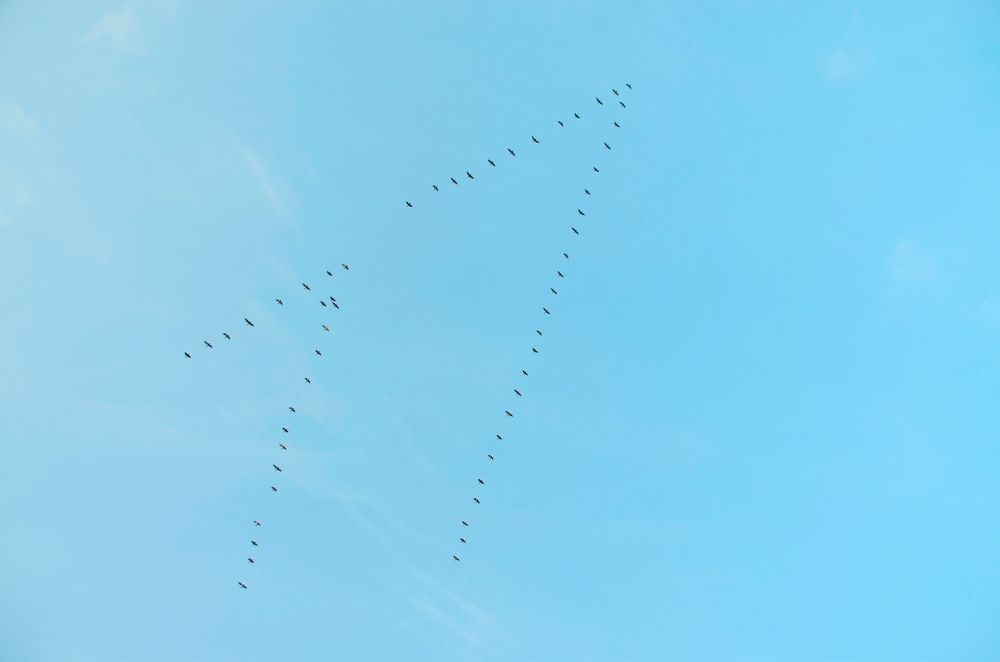 Photograph by Galina Baranovskaja