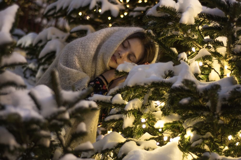 Сны под Рождество