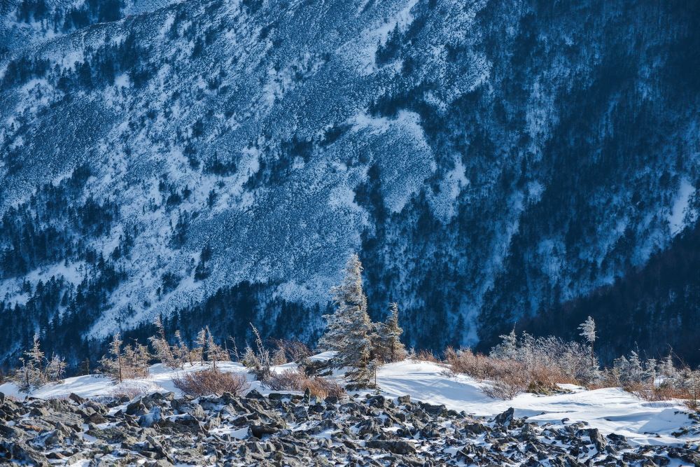 Пронизывающий холод одиночества