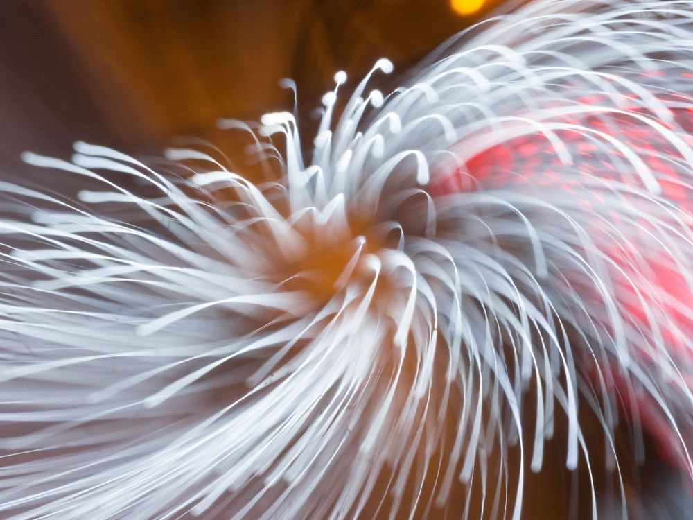 Цветок диодного света