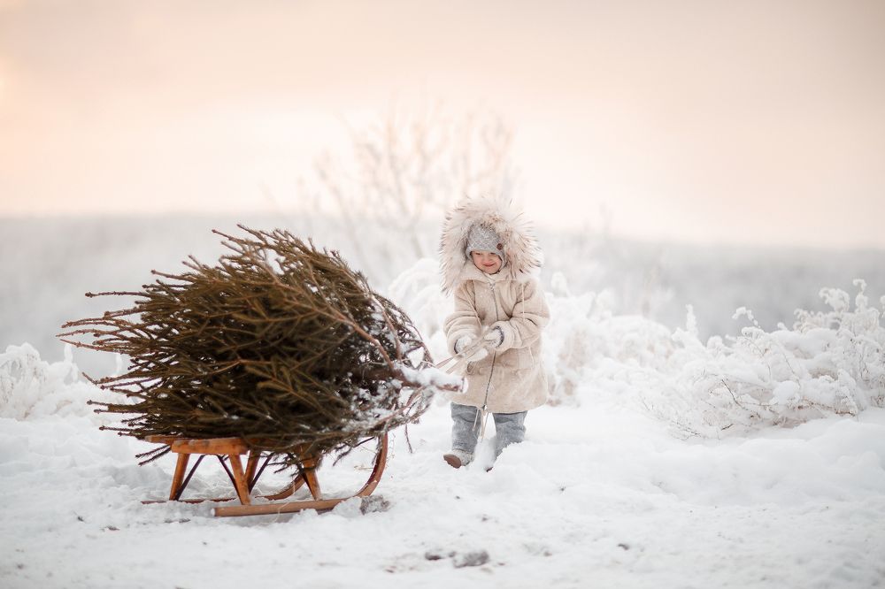 Взяли елочку домой