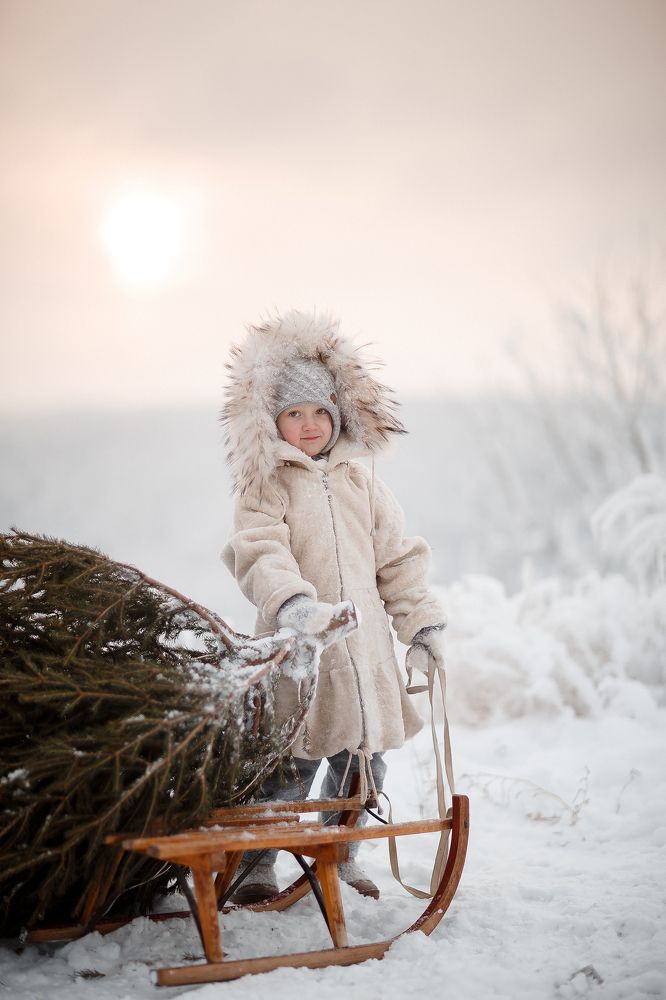 в лесу родилась елочка