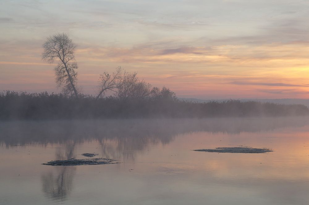 Photograph by Евгений Кулик