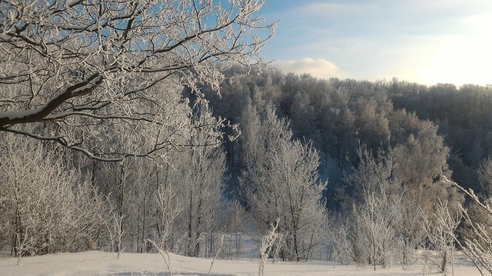 Белое безмолвие