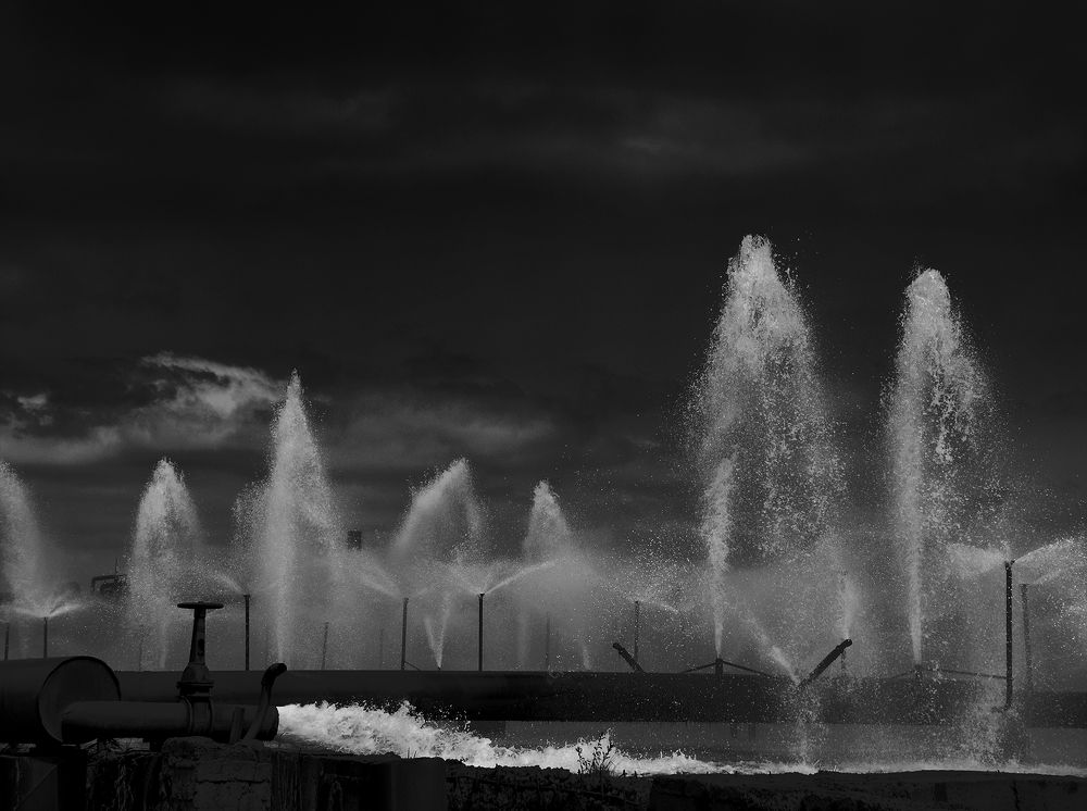 Сказочный водяной лес