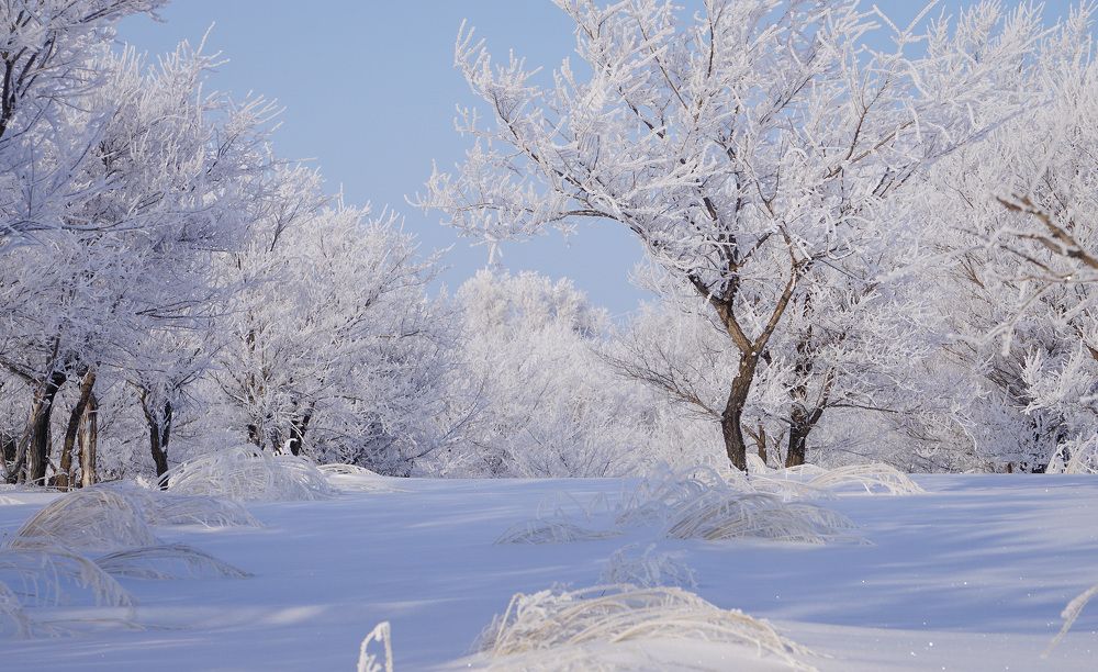 Зимние кружева