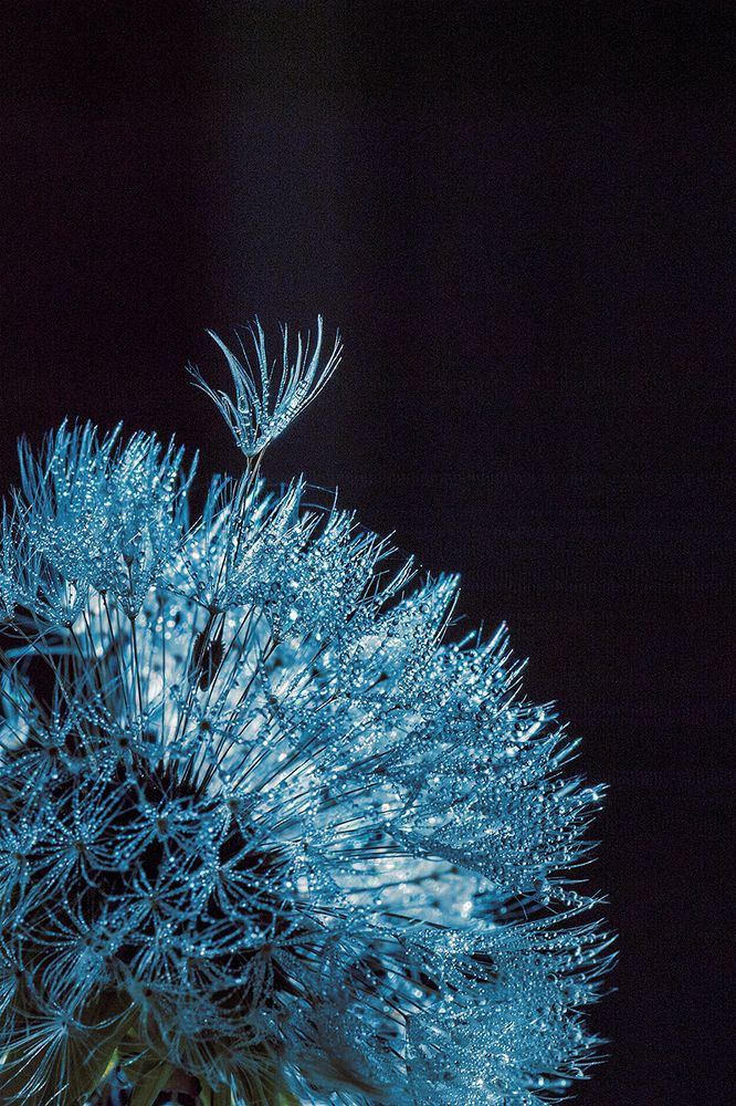 Photograph by Юлиана Джус