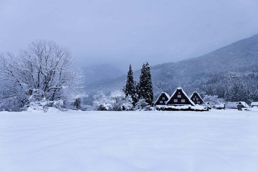 Traditional house of Shirakawa-go