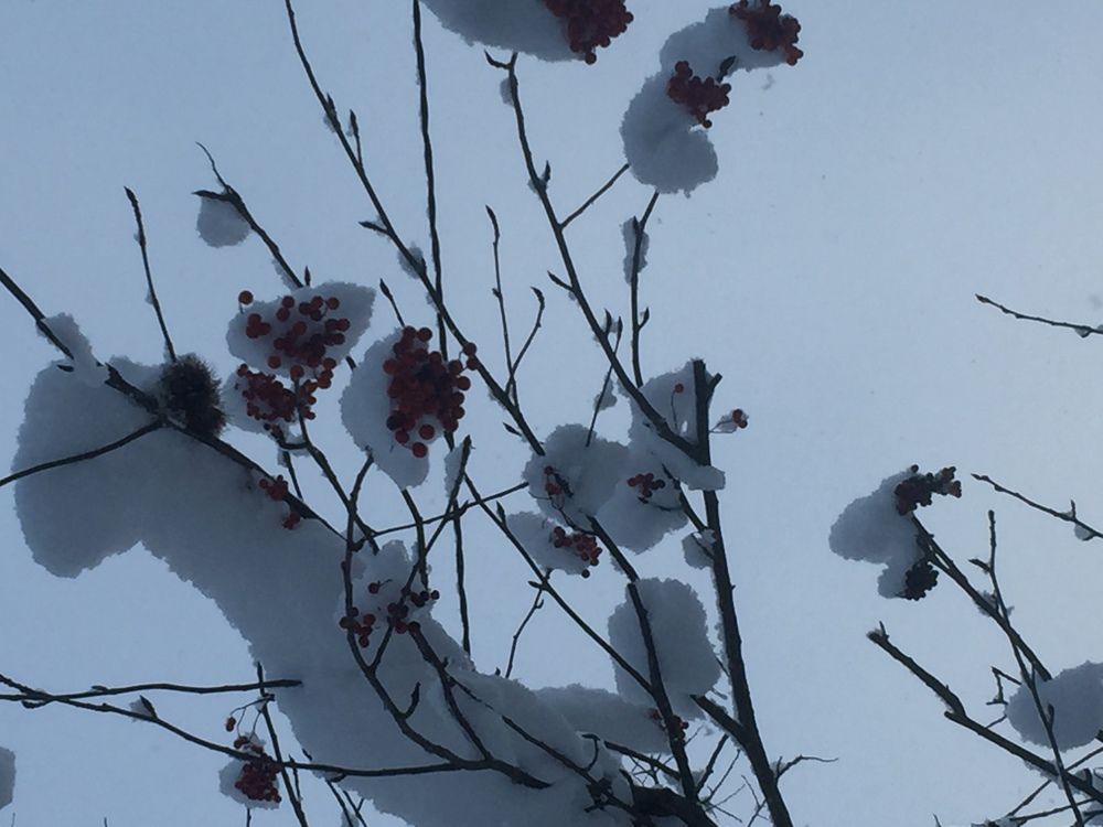 Зимний пейзаж