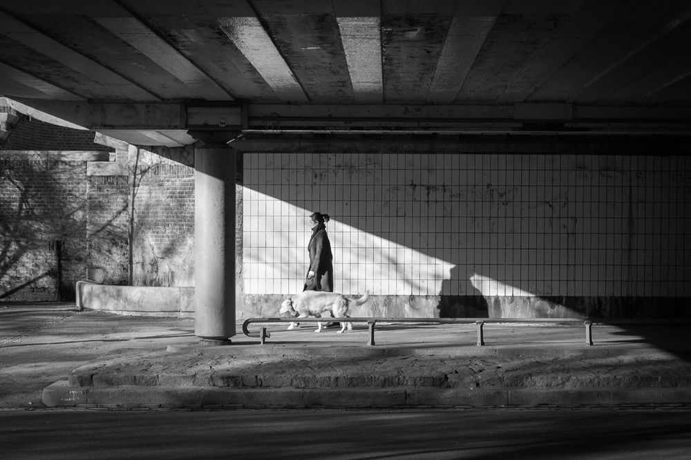 Morning walk in Voldenpark