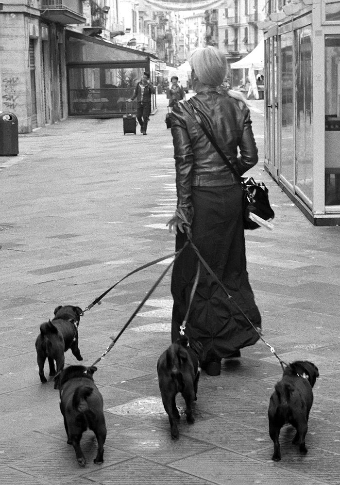 Clarissa and her pups.