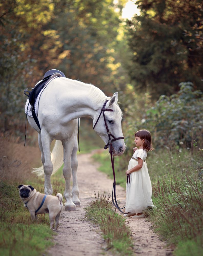 Прогулка с друзьями