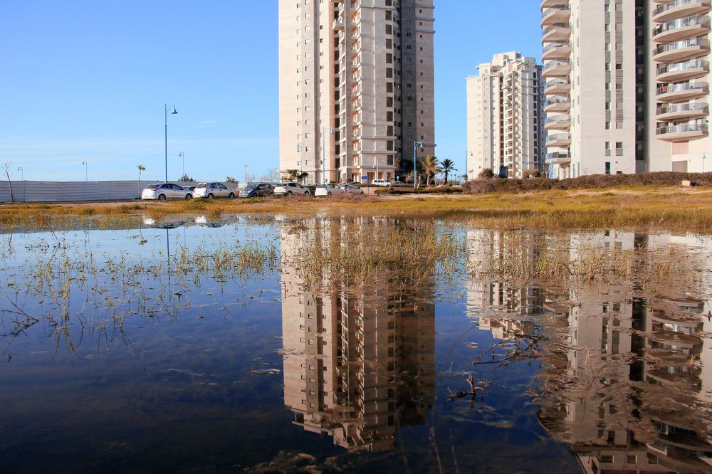 Зеркало