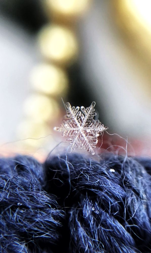 Photograph by Диана Нигматова