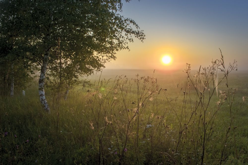 Теплое летнее утро