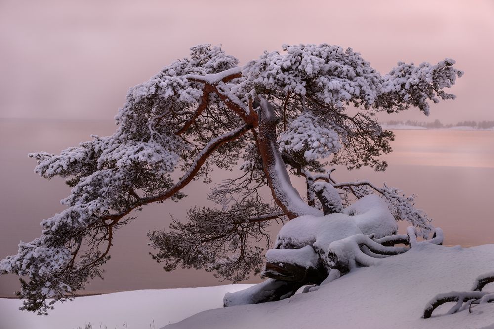 "Искусство в природе"