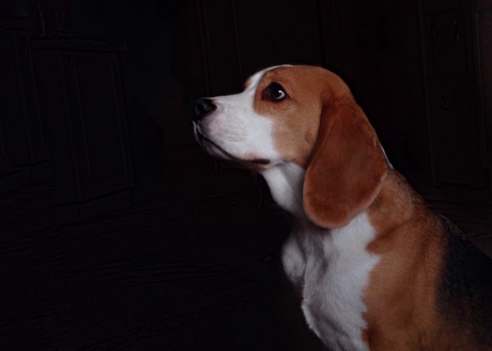 Photograph by Ирина Тимонина