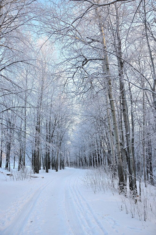 Photograph by Оксана Астрова