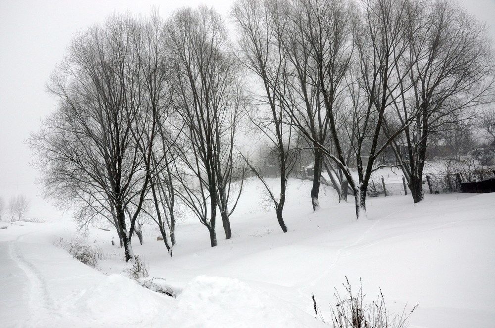 Photograph by Оксана Астрова