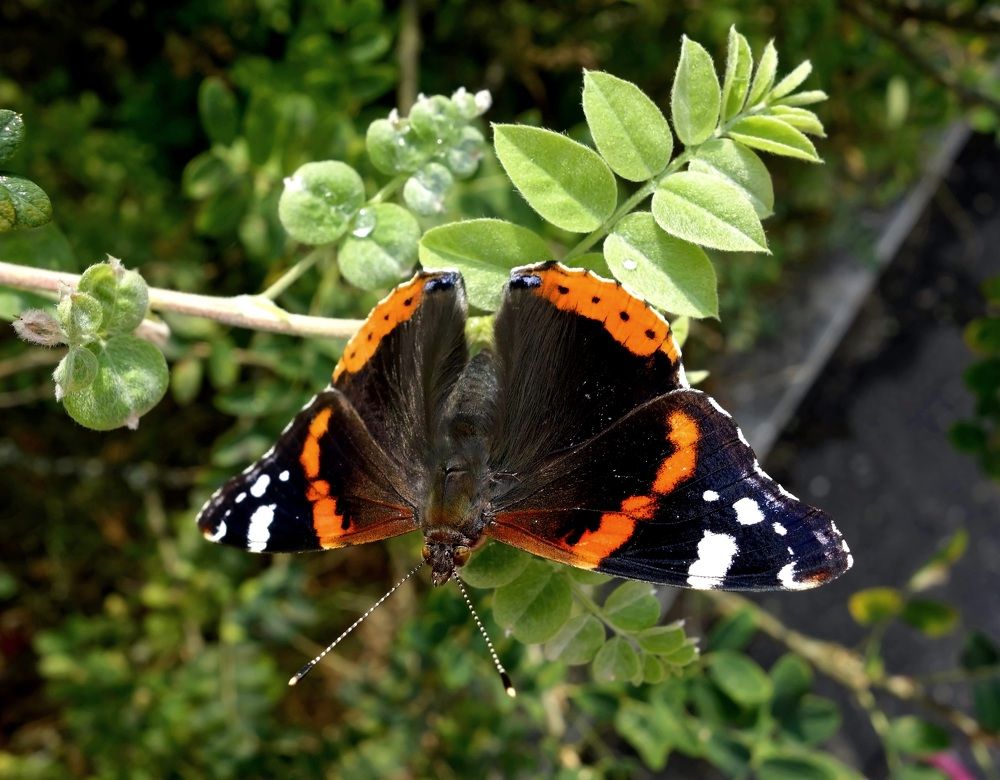Фотография автора Валентина Гундарева