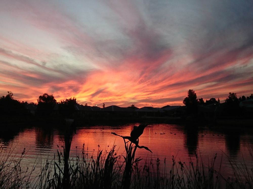 Sunset in Jane Brook
