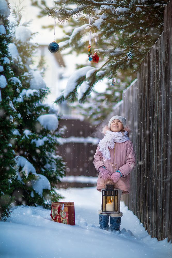 New Year's pine