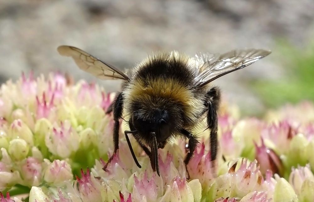 Фотография автора Валентина Гундарева