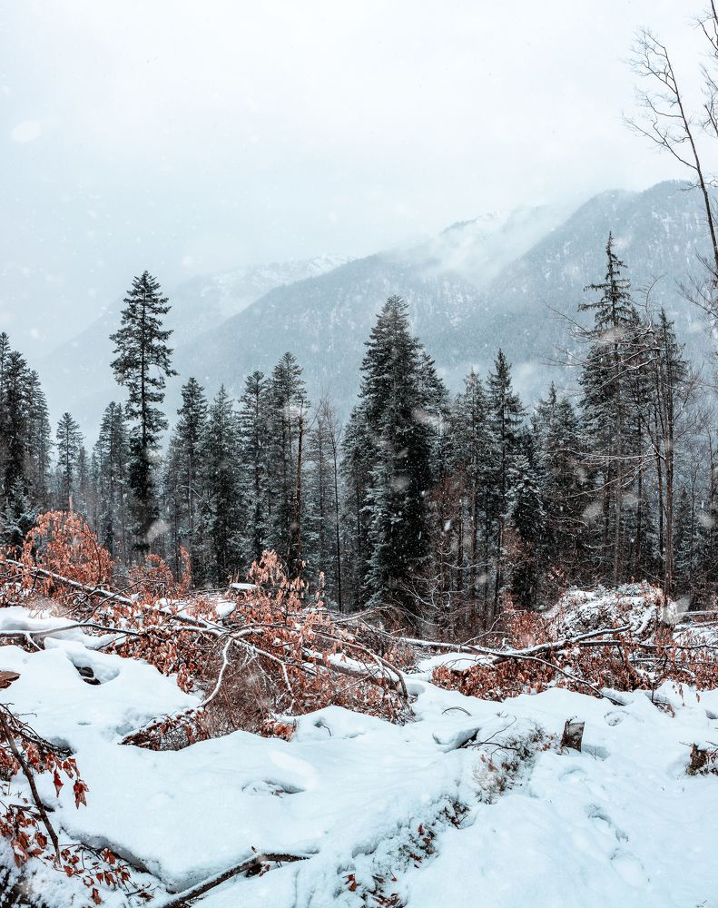 Garmisch, Germany, hiking trail