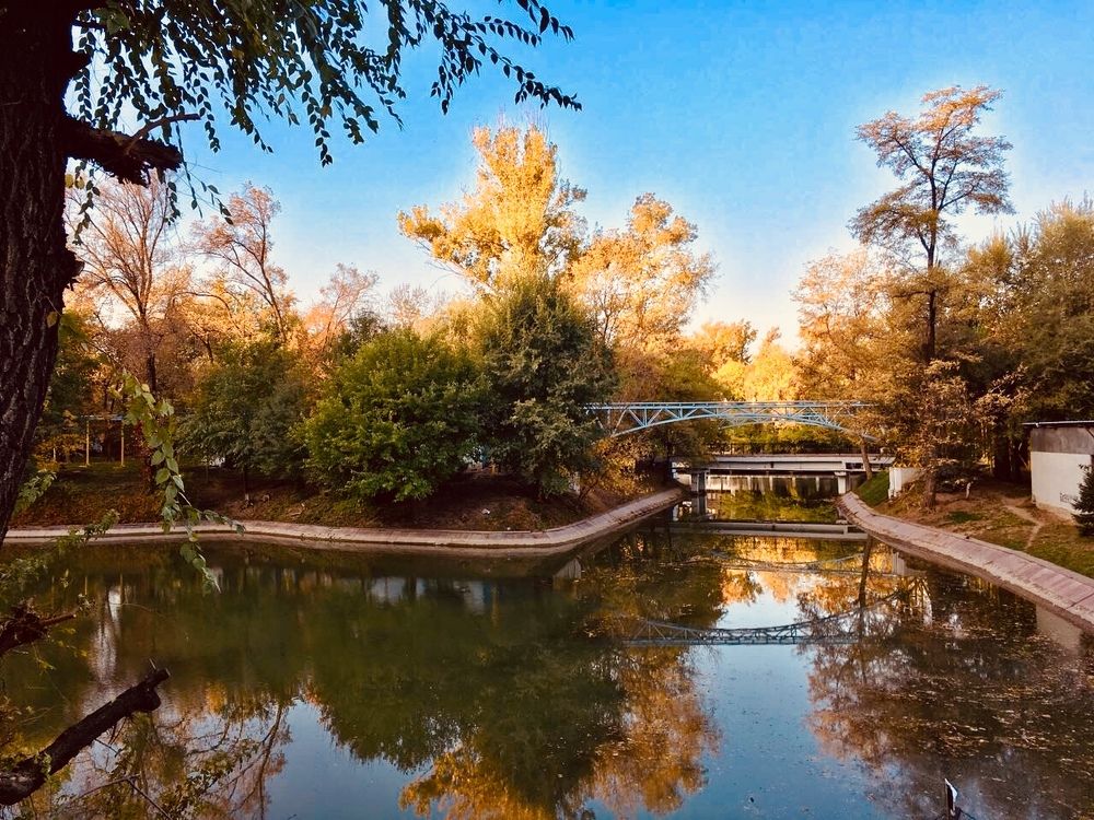 Photograph by Gulcha Zhuravlyova