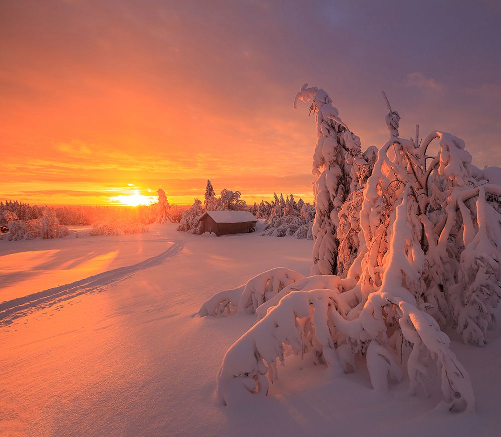 Конец полярной ночи