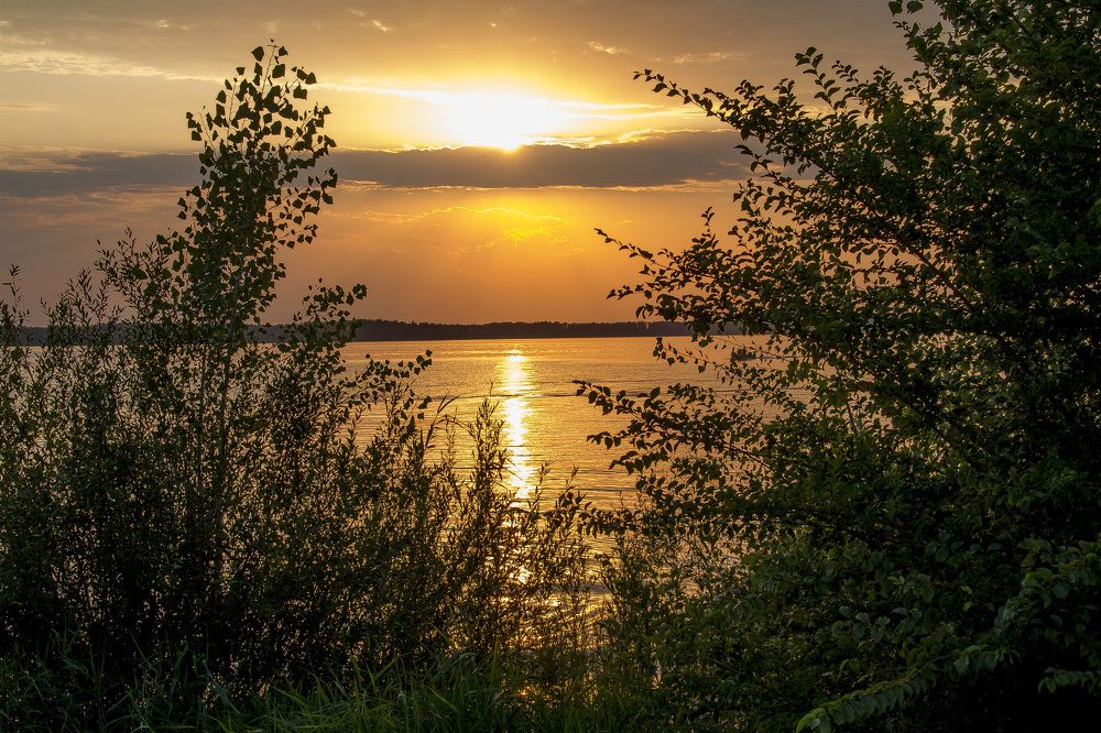 Летняя ночь