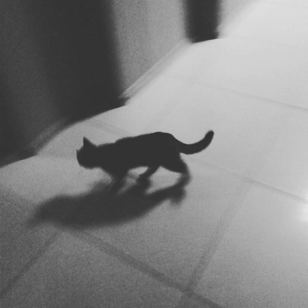 Photograph by Дмитрий Ким