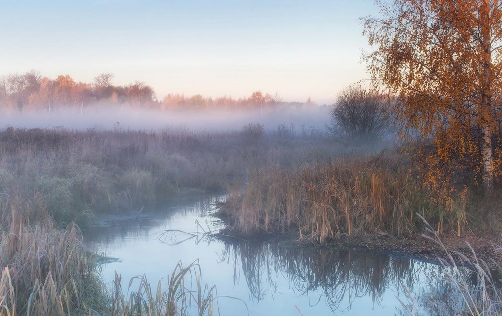Последние краски