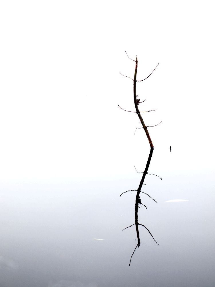 Минимализм.