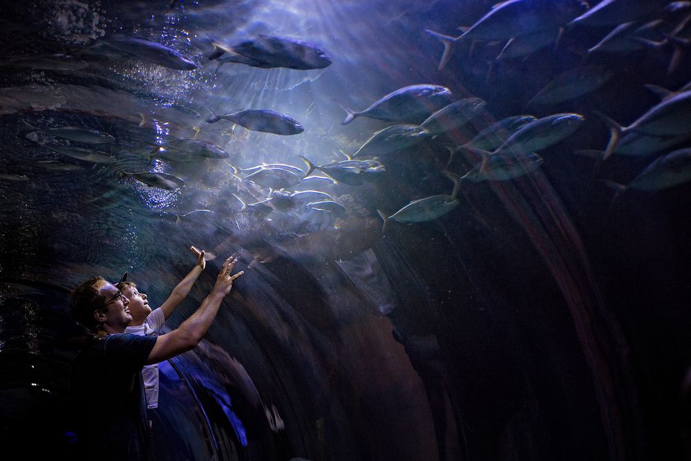 Discovering the world with my dad