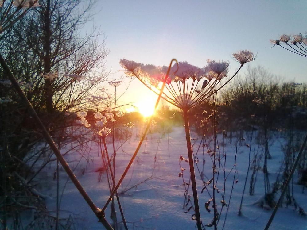 Зимний закат