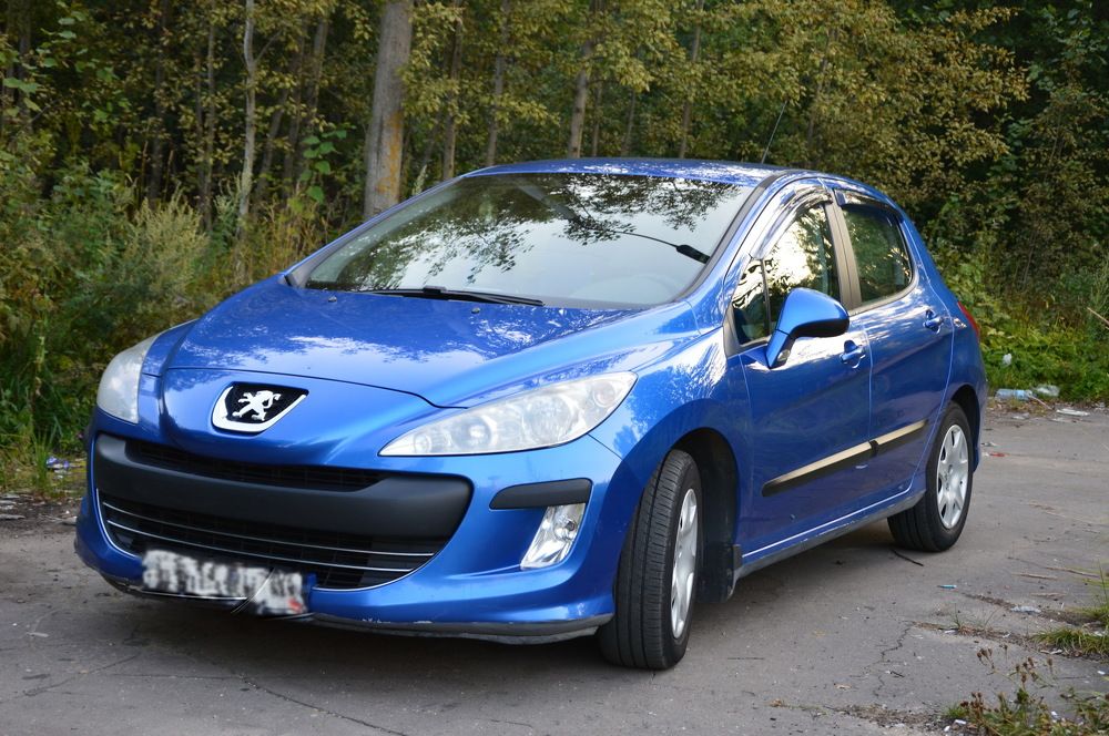 Любимый пыжик