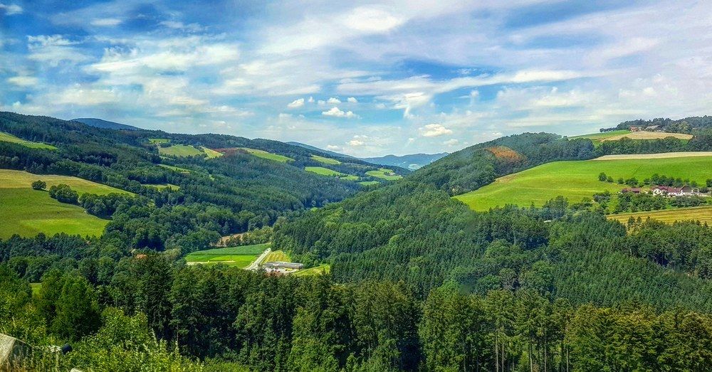 Photograph by Vera Nefedova